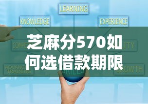 芝麻分570如何选借款期限?这几点帮你少走弯路 芝麻分570如何选借款期限?这几点帮你少走弯路