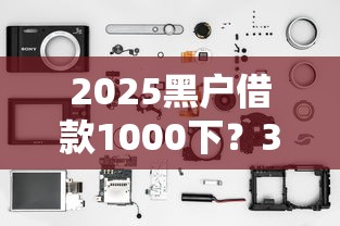 2025黑户借款1000下？3个低门槛平台实测解析