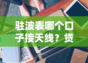 驻波表哪个口子接天线？贷款平台选择技巧与产品推荐
