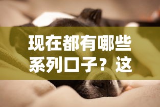 现在都有哪些系列口子？这5种类型贷款最受欢迎