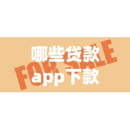 哪些贷款app下款快？实测这5个平台审核快、通过率高