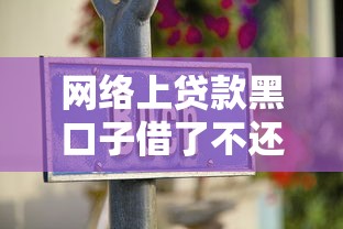 网络上贷款黑口子借了不还行吗？老哥亲身经历告诉你真相