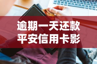 2025年华夏白金尊尚卡被拒？试试这五个资质不好平台可以借100