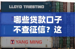 黑户能贷款的平台有哪些？这5个渠道门槛低、放款快！