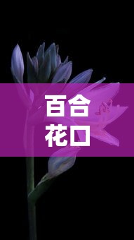 百合花口子是哪个系列？这3个正规平台更靠谱利率低