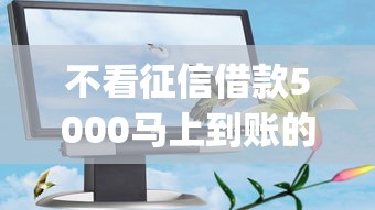 不看征信借款5000马上到账的app有吗？真实评测：这些平台竟然能下款