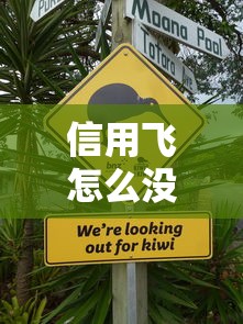 信用飞怎么没有借款入口了？老用户实测答疑攻略