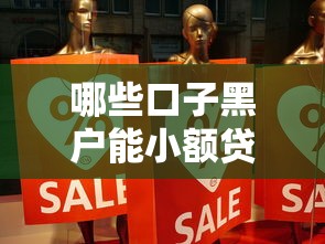 哪些口子黑户能小额贷款？真实经验分享