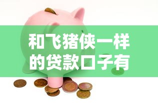 和飞猪侠一样的贷款口子有哪些？这3个平台值得一试