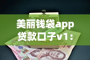 美丽钱袋app贷款口子v1：3分钟放款攻略+真实用户实测对比