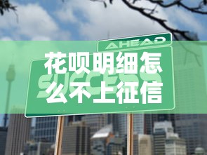 花呗明细怎么不上征信？原来如此！