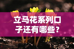 立马花系列口子还有哪些？这几个平台审核快、门槛低