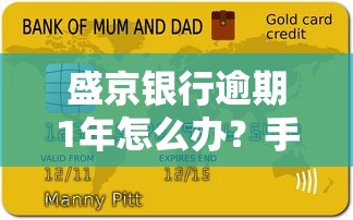 盛京银行逾期1年怎么办？手把手教你化解债务危机