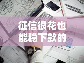 征信很花也能稳下款的口子最新实测：这三个平台居然不挑人！