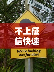 不上征信快速下款平台？这5个低门槛渠道或许适合你