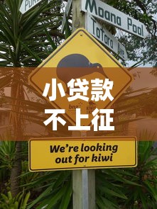 小贷款不上征信吗？这几点必须了解！