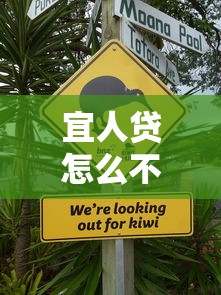 宜人贷怎么不上征信了？背后原因要细品