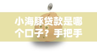 小海豚贷款是哪个口子？手把手教你找到靠谱平台