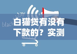 白猫贷有没有下款的？实测审核流程及放款时间解析