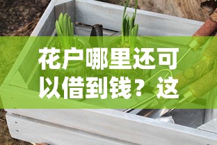 花户哪里还可以借到钱？这几个渠道你可能没试过