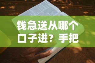 钱急送从哪个口子进？手把手教你快速申请流程
