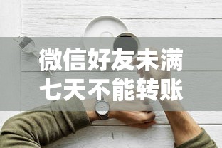 微信好友未满七天不能转账吗为什么？附小额贷款平台推荐
