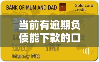 当前有逾期负债能下款的口子2025？实测这几家能通过