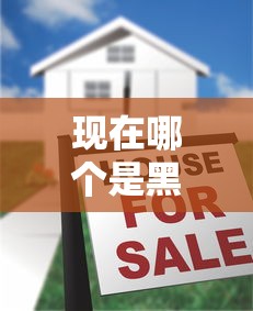 现在哪个是黑户口子？揭秘低门槛贷款真相