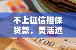不上征信担保贷款，灵活选择应急不慌！