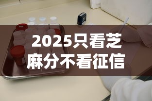 2025只看芝麻分不看征信的网贷靠谱吗？实测5大良心平台