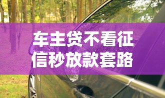 车主贷不看征信秒放款套路解析及避坑指南