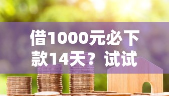 借1000元必下款14天？试试看这几个办法，这些细节要注意！