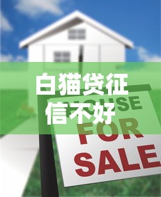 白猫贷征信不好能通过吗？真实审核机制揭秘