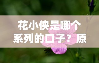 花小侠是哪个系列的口子？原来还能这样用！