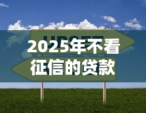 2025年不看征信的贷款平台有哪些？这5家值得试试！