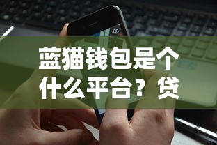 蓝猫钱包是个什么平台？贷款产品实测+安全使用指南