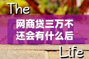网商贷三万不还会有什么后果？真实案例带你避坑