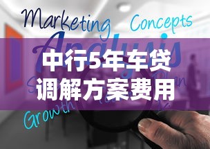 中行5年车贷调解方案费用解析及申请流程