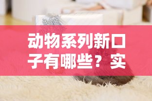 2025年综合评分不足百分百下款的网贷app，整理5个这两天能下款的软件