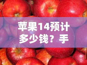 玖印钱包容易借款吗？审核流程+放款速度深度测评