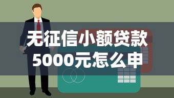 无征信小额贷款5000元怎么申请？快速到账的低门槛方案