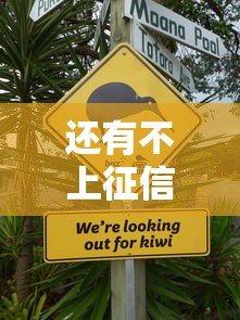 还有不上征信的网贷吗？这3类平台借钱不留记录
