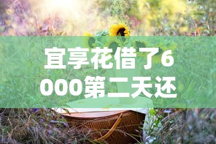 2025年怎么做借钱，公布五个网贷平台有多少家