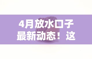 4月放水口子最新动态！这5个正规渠道有额度就能批