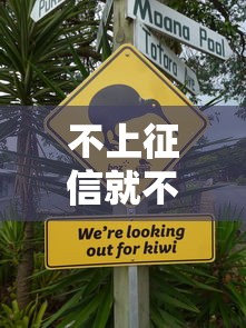 高炮有哪些口子能下？这5个渠道通过率高且正规