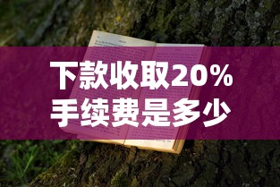 下款收取20%手续费是多少？算下来要交多少钱？了解清楚再申请不吃亏