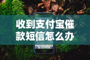 收到支付宝催款短信怎么办？这3个应对步骤必须收藏