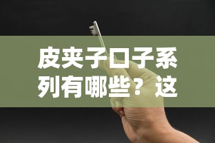 皮夹子口子系列有哪些？这5个渠道安全吗，容易通过吗