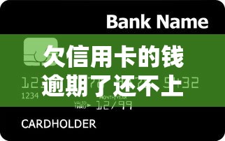 欠信用卡的钱逾期了还不上怎么办？这5招教你避免被起诉
