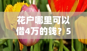花户哪里可以借4万的钱？5个正规渠道实测对比